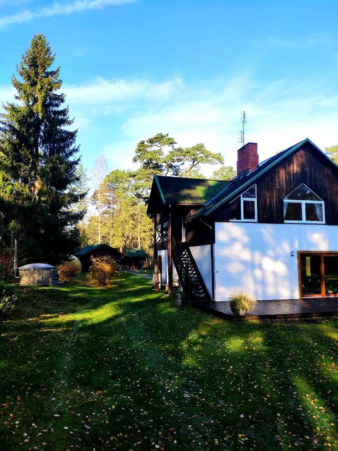 Lantställe Atputas Vieta Braltirumi *