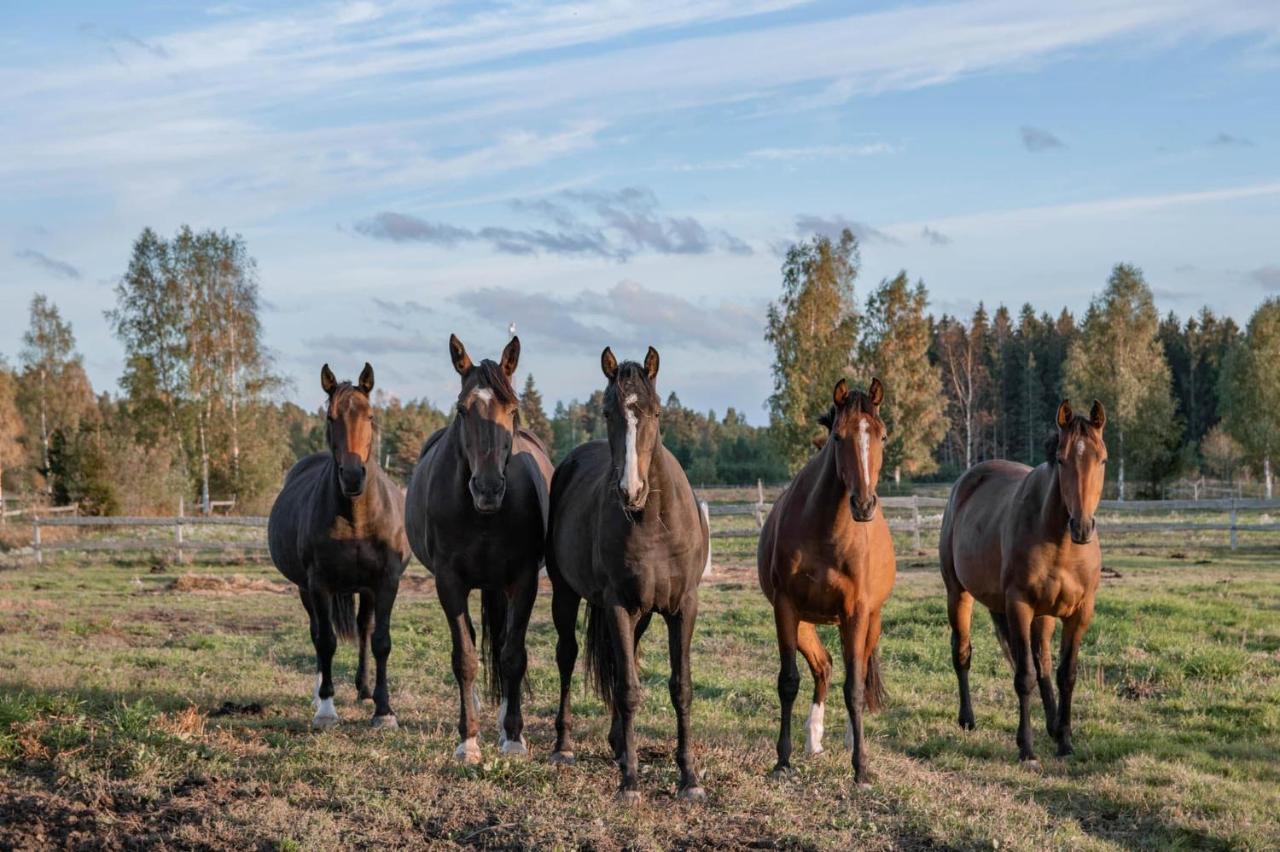 Lantställe Atputas Vieta Braltirumi
