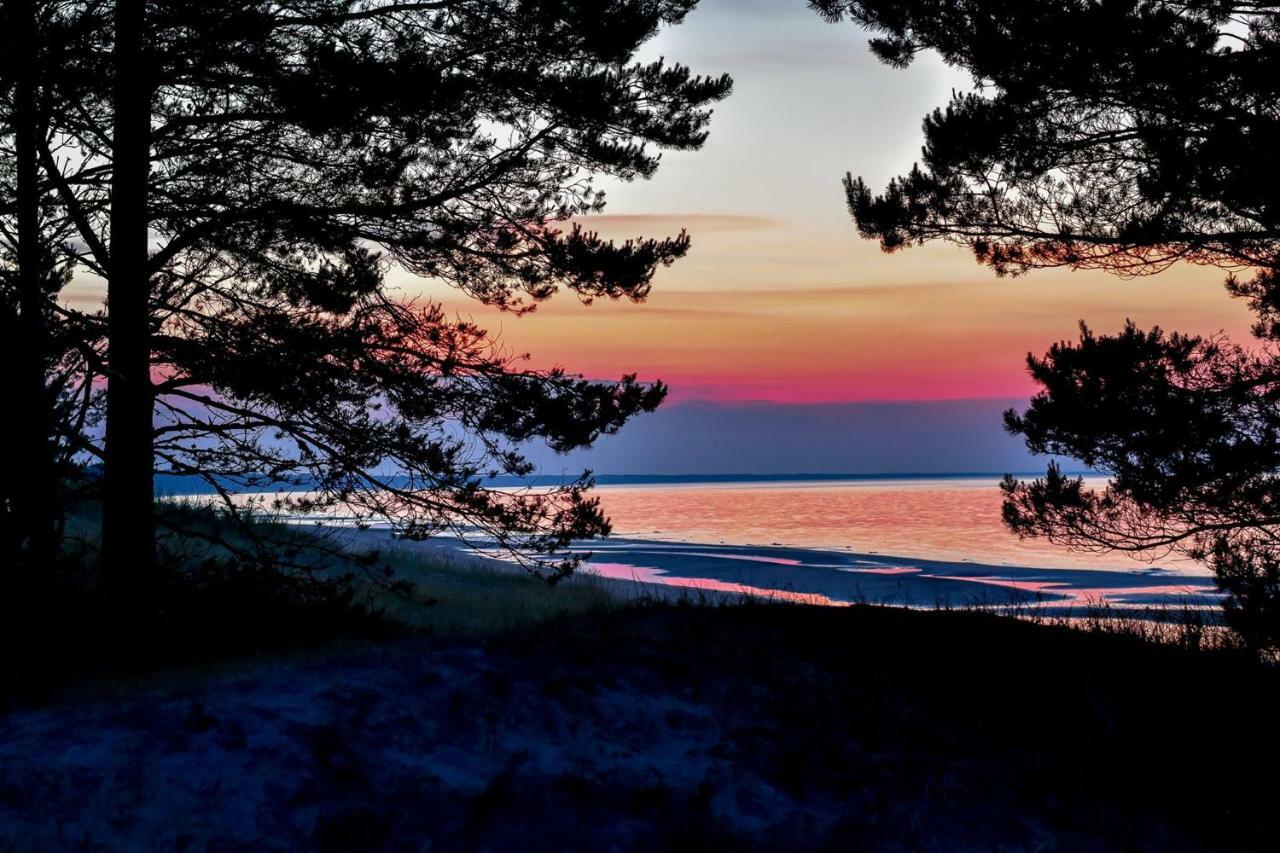 Lantställe Atputas Vieta Braltirumi